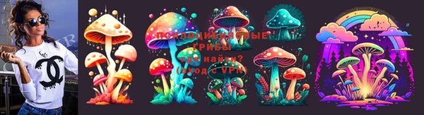 индика Абинск