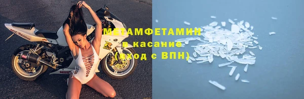 индика Арсеньев