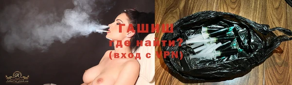 индика Арсеньев