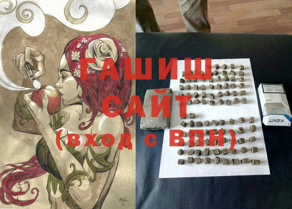 индика Абинск