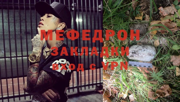 индика Арсеньев