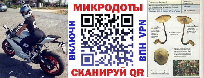 Галлюциногенные грибы Cubensis  mega как войти  Новочеркасск 