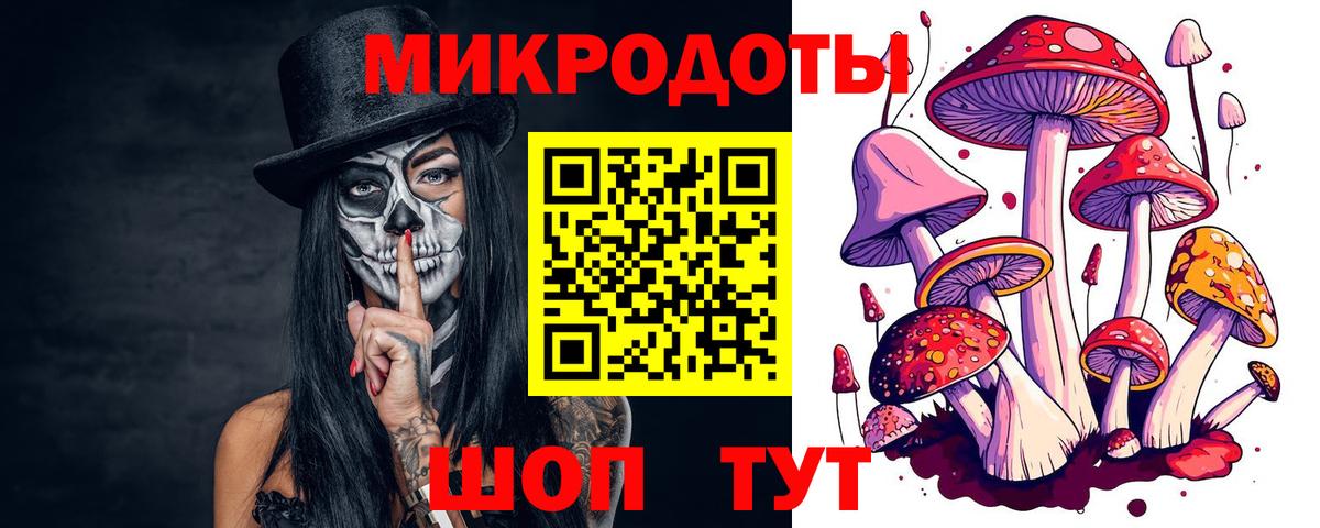 Новочеркасск  Псилоцибиновые грибы GOLDEN TEACHER  Вход с VPN 